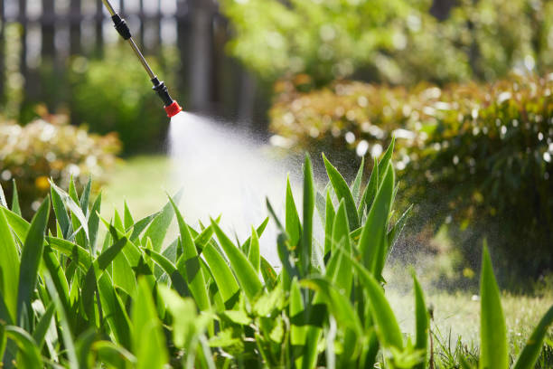 24/7 Emergency Mosquito Control experts in Hickam Housing, HI